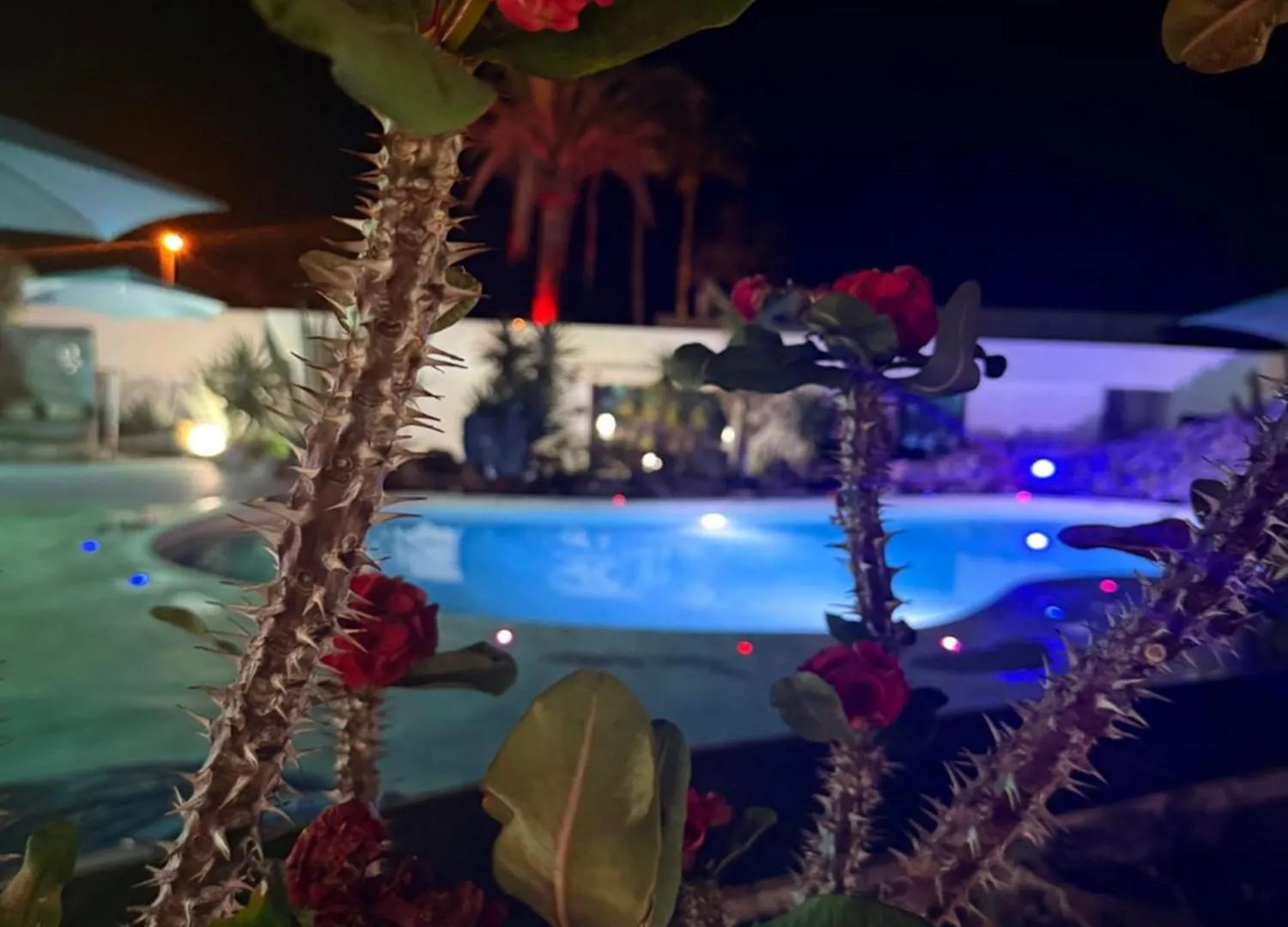 Paraiso Villas Playa Paraiso   Playa Paraiso (Tenerife)